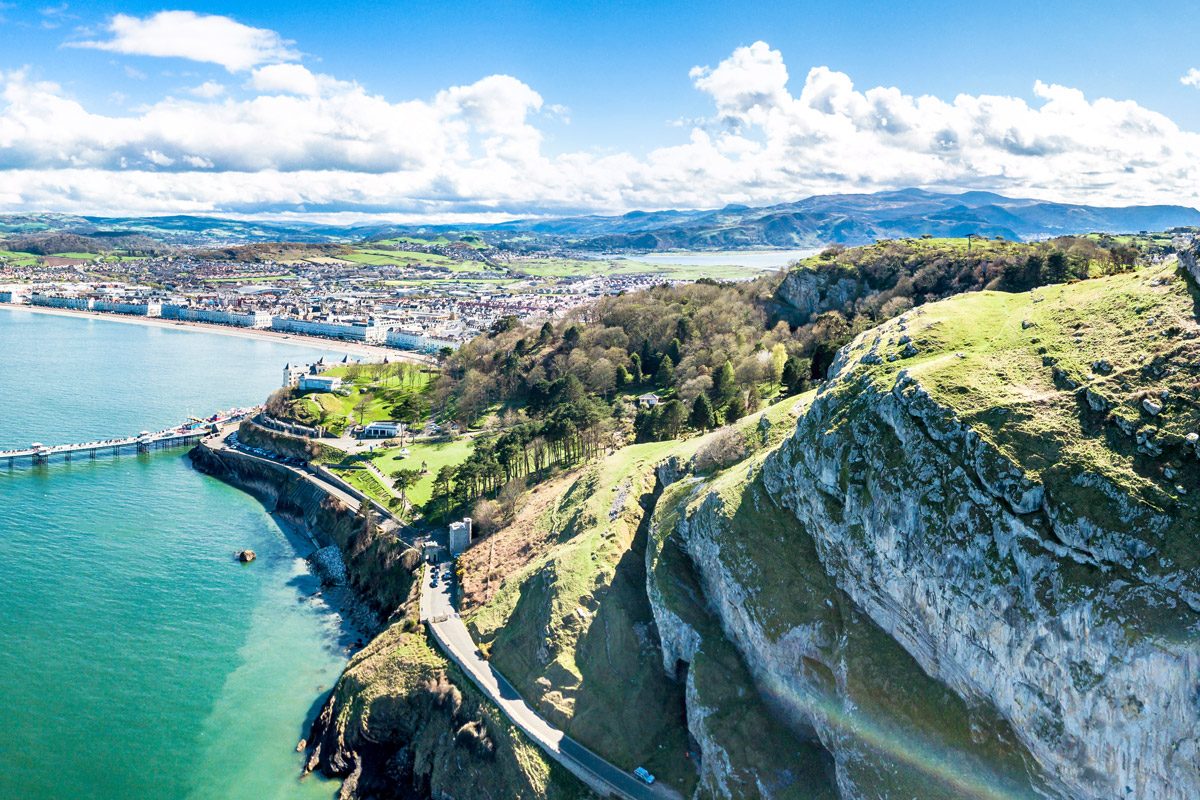 Great Orme Wildlife & Nature — days out from The Rosedene