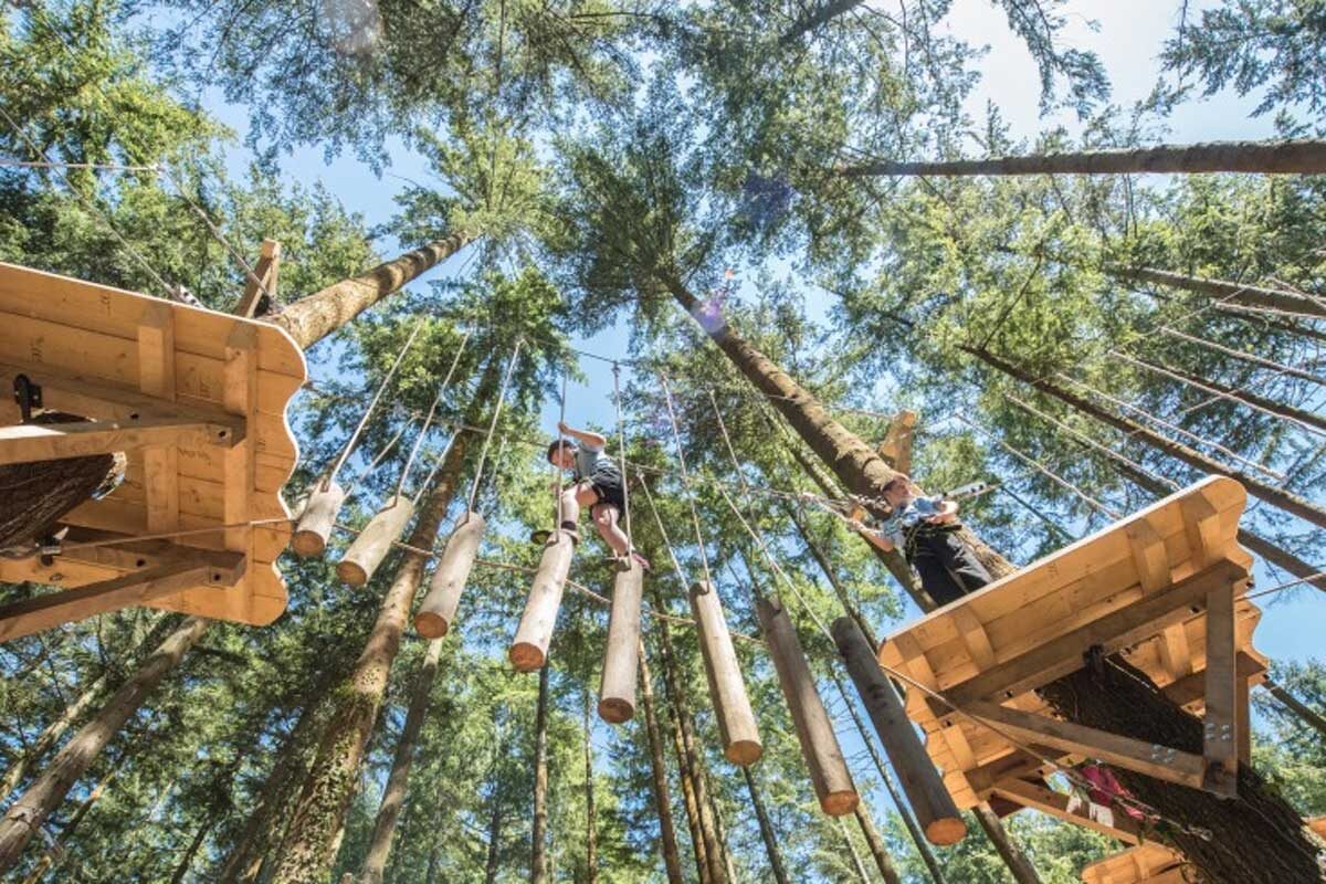 Zip World Betws-y-Coed (Fforest)
