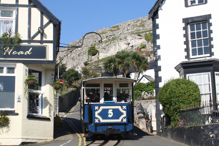 Curious About Llandudno