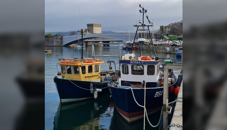 Guided Tour of Conwy Town